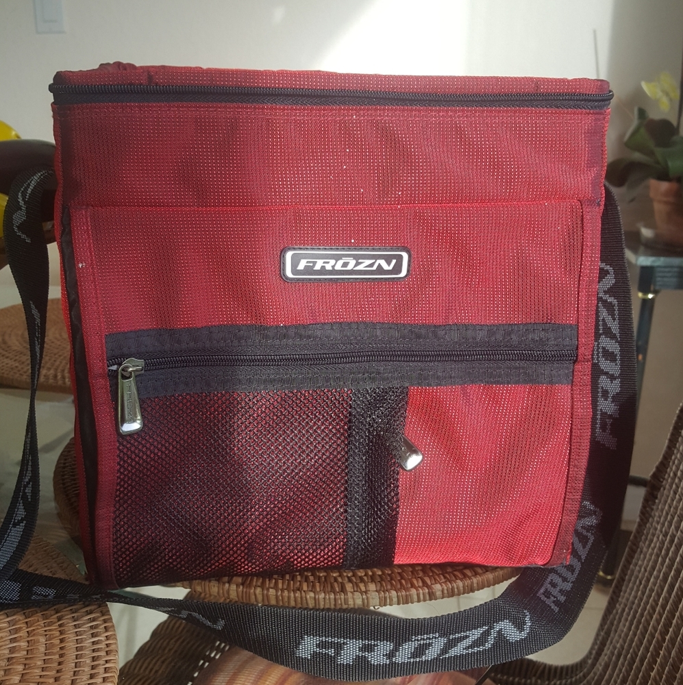 2/$10🌴Insulated bag by Ingear/Frozn